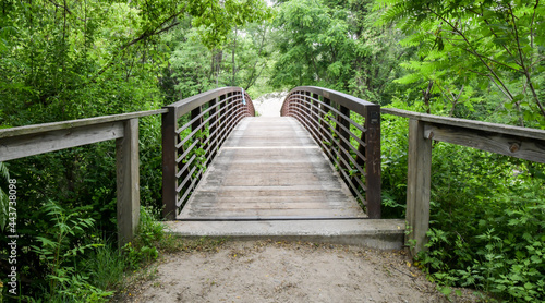 wooden bridge in the forest