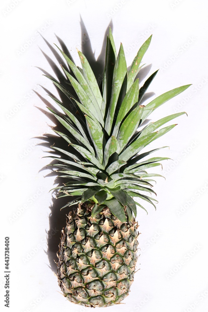 Fototapeta premium Pineapple tropical fruit and shadow on isolated white background