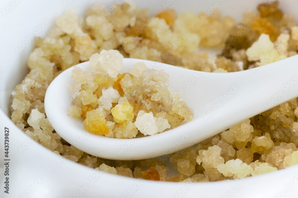 Kefir grains in a spoon to preparate water Kefir. With copy space and selective focus