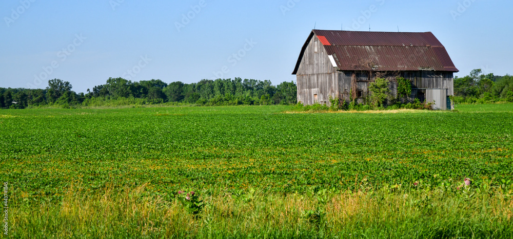 Weathered old farm barn Weathered old farm barn
