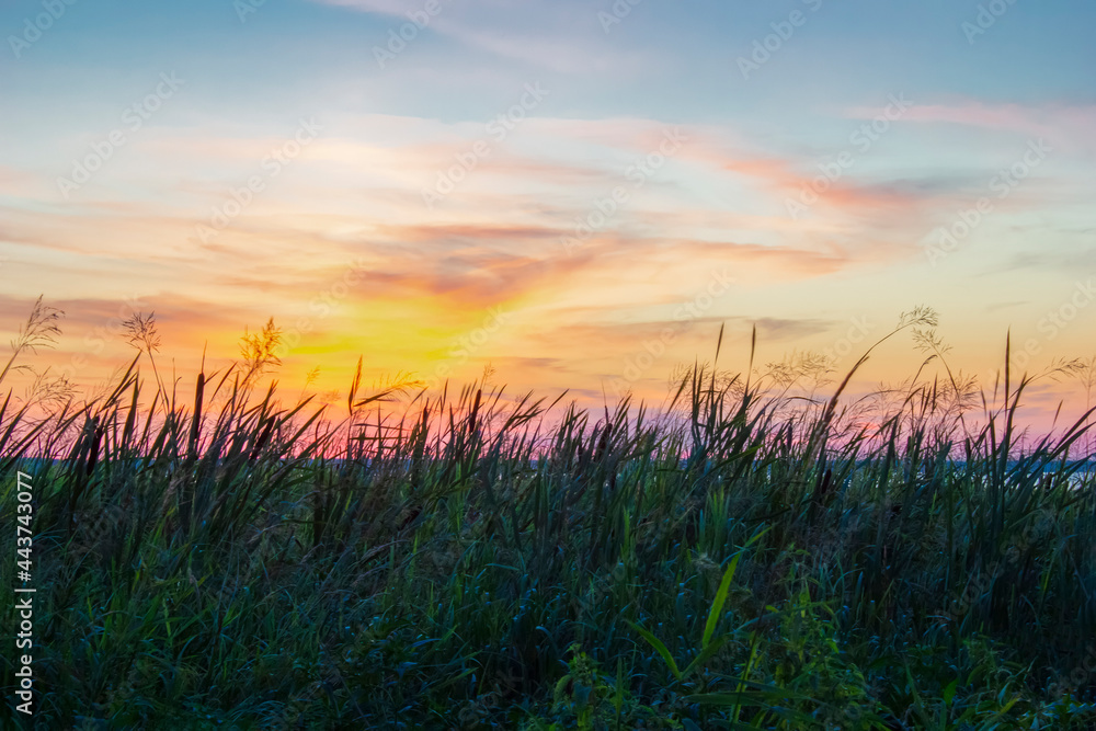 Sky, grass, horizon, sunset. Beautiful landscape of the evening sky. copy space