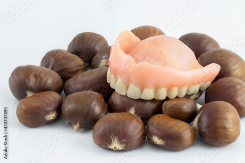 Removable denture over a group of Chestnuts isolated in white background. Concept for bite resistence photo