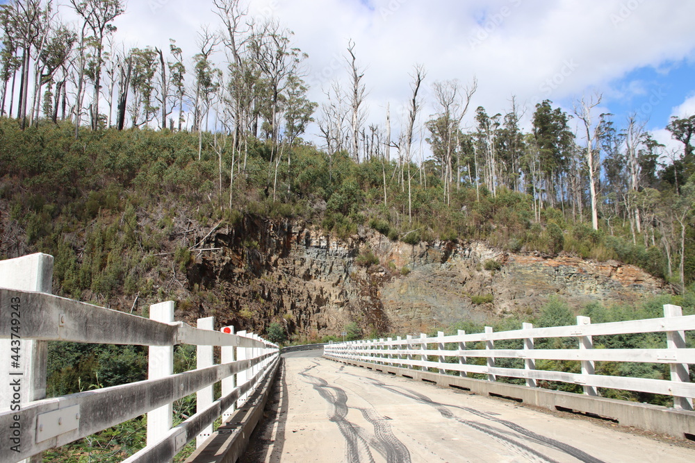 Fototapeta premium Tyremarks on the Tayatea bridge crossing the Arthur River in north-west Tasmania, Australia.