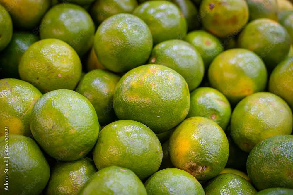 Oranges at the Supermarket Oranges at the Supermarket