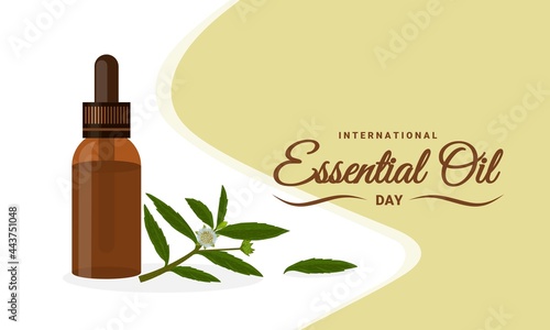 Eclipta Alba, Eclipta Prostrata or Bhringraj essential oil, also known as False Daisy, effective herbal medicine in Ayurvedic medicine, as international essential oil day banner, vector illustration.