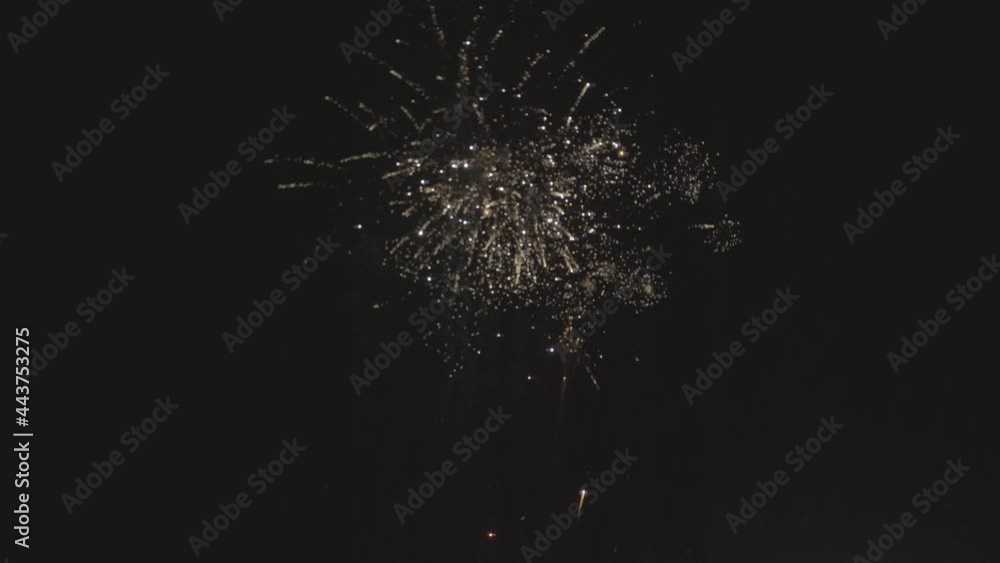 Slow motion firework Slow motion firework