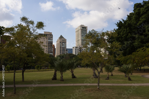 Natureza do parque do Povo em São Paulo em região nobre da cidade, próximo a alguns prédios de luxo