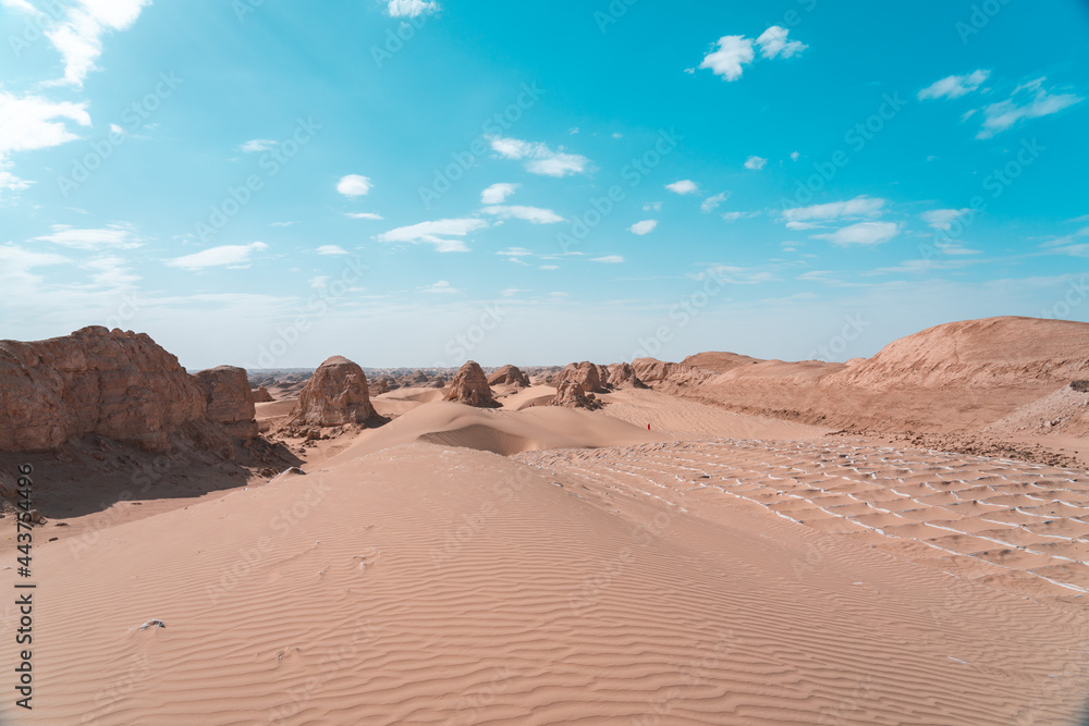 sand dunes in the desert