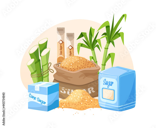 Fresh cane sugar with stem and leaf plants set. Sugarcane plants, cane sugar lumps and cube, glass bottles of rum, bamboo, rum alcoholic liquid. Natural organic alcohol industry food vector