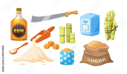 Fresh cane sugar with stem and leaf plants set. Sugarcane plants, cane sugar lumps and cube, glass bottles of rum, bamboo, rum alcoholic liquid.