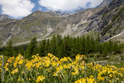 Schweizer Berglandschaft im Val de Bagnes