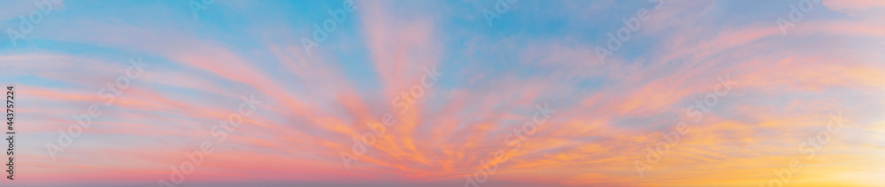 Panorama of the morning sky with pink clouds