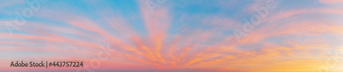 Panorama of the morning sky with pink clouds