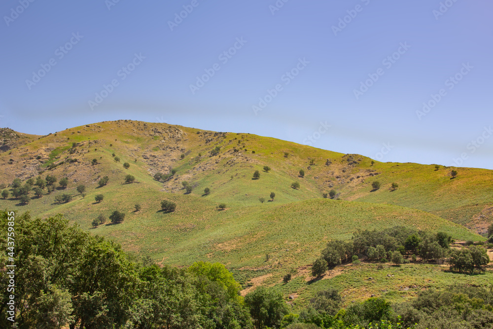 Landscape of green mountains and trees.