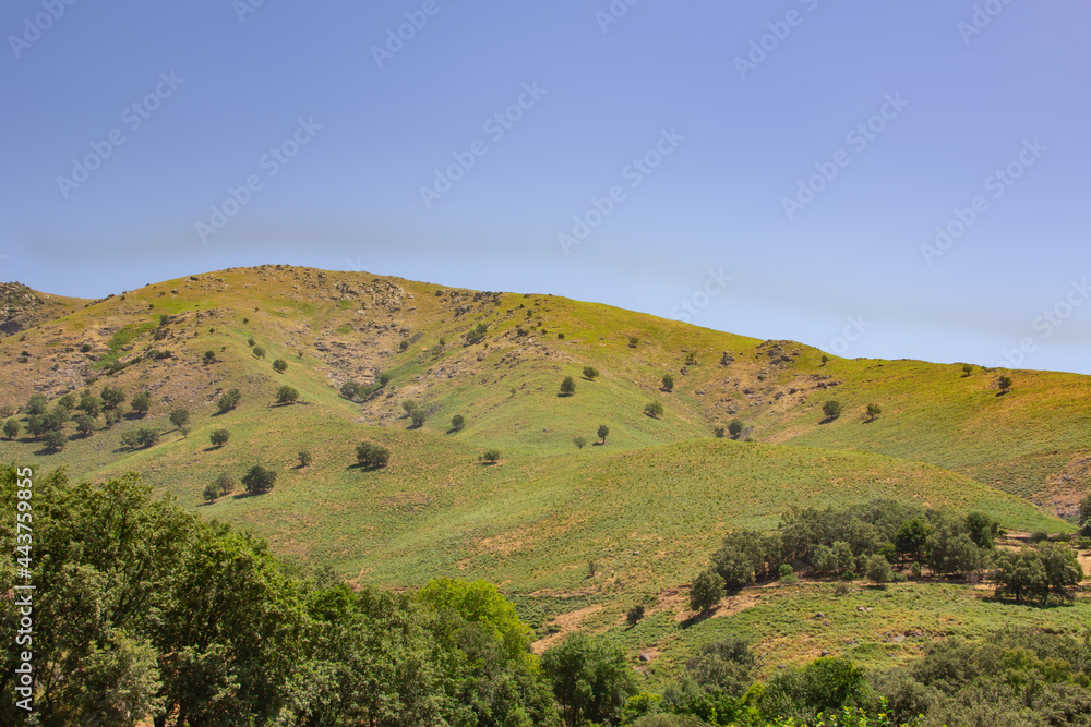 Fototapeta premium Landscape of green mountains and trees.
