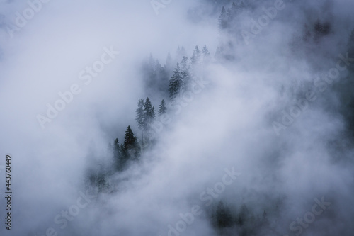 Dichte Wolken verhüllen einen bewaldeten Steilhang in den Alpen - düstere, dramatische Stimmung