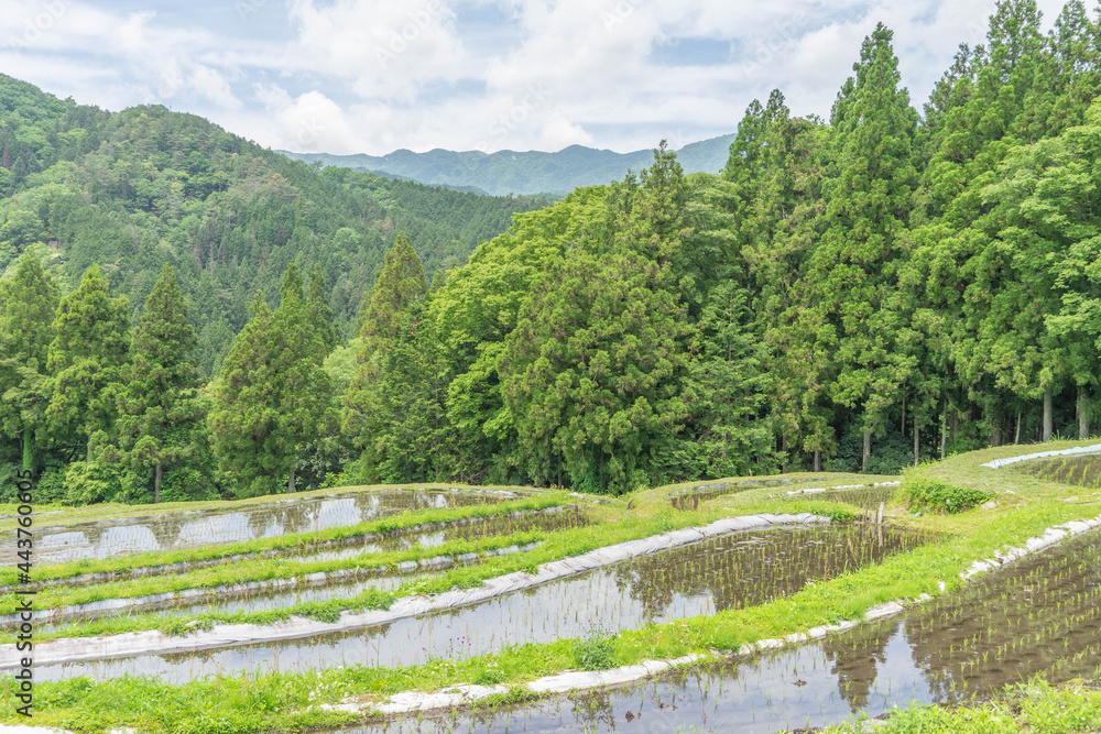 貝原棚田 貝原棚田