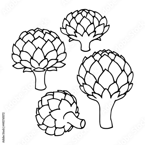 a set of artichoke buds, elements of a decorative ornament or pattern, a vector illustration with black contour lines isolated on a white background in a doodle and hand drawn style
