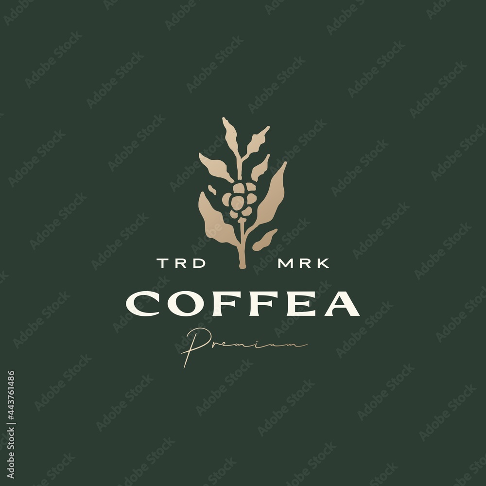 coffea coffee tree sophisticated aesthetic logo vector icon illustration coffea coffee tree sophisticated aesthetic logo vector icon illustration