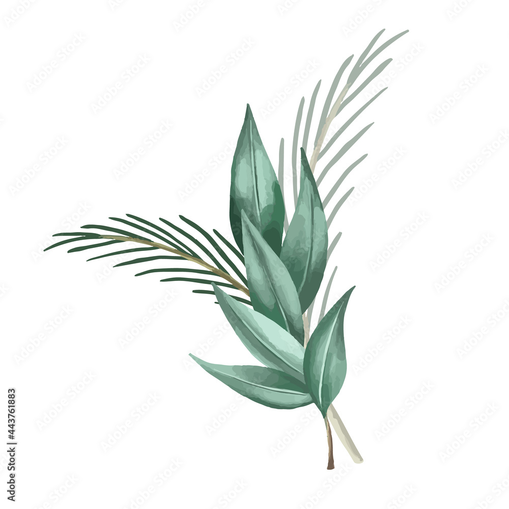 Fototapeta premium Set of botanic and wild leaves in watercolor painting.