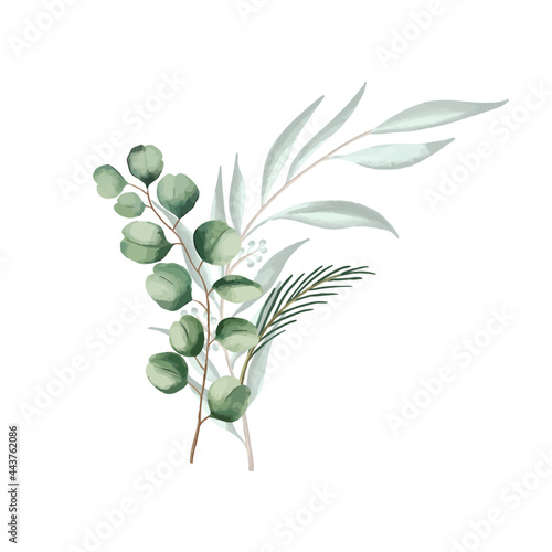 Set of botanic and wild leaves in watercolor painting.