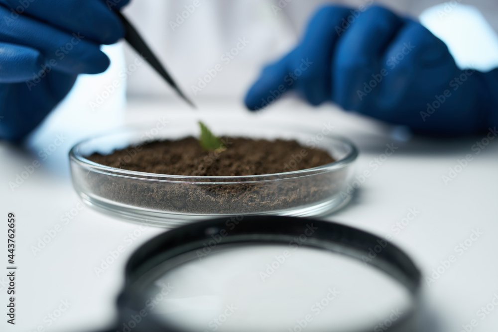 laboratory research plants microbiology science laboratory research plants microbiology science