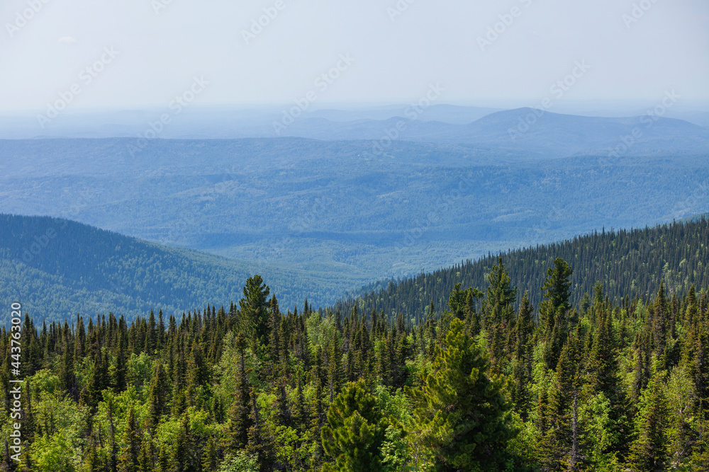 Blue hills in the distance. Landscapes of mountain Shoria. Kemerovo region, Kuzbass, Russia