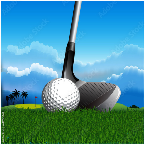 Golf clubs and golf balls 