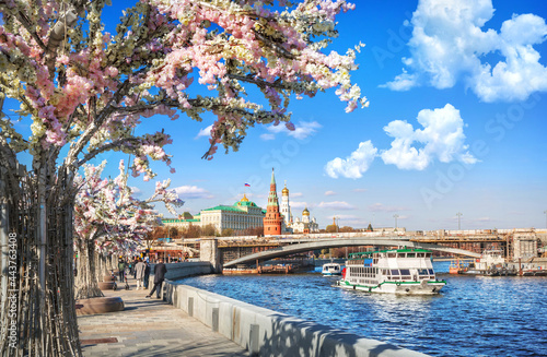 Flower trees on the embankment of the Moskva River, the Kremlin and ships on the river in Moscow photo