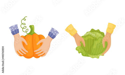 Hands Holding Ripe and Juicy Agricultural Crops Vector Set