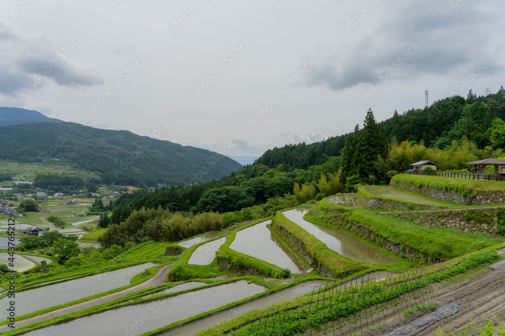 坂折棚田