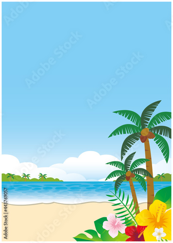 南国　浜辺　海　青空　背景
