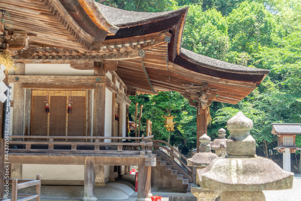 Fototapeta premium 御上神社