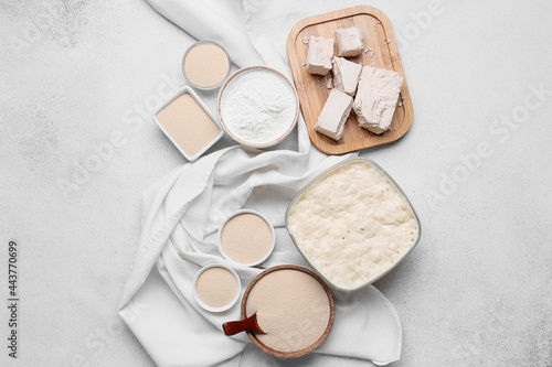 Composition with fresh and dry yeast on light background photo