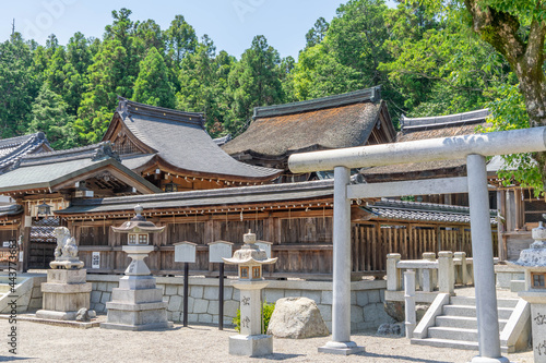 Quadro su tela 苗村神社