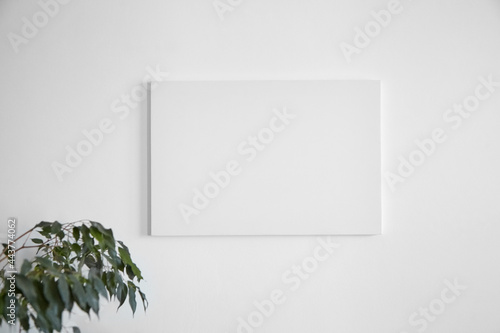Obraz na plátne Canvas mockup hanging on white wall and green leaves of houseplant