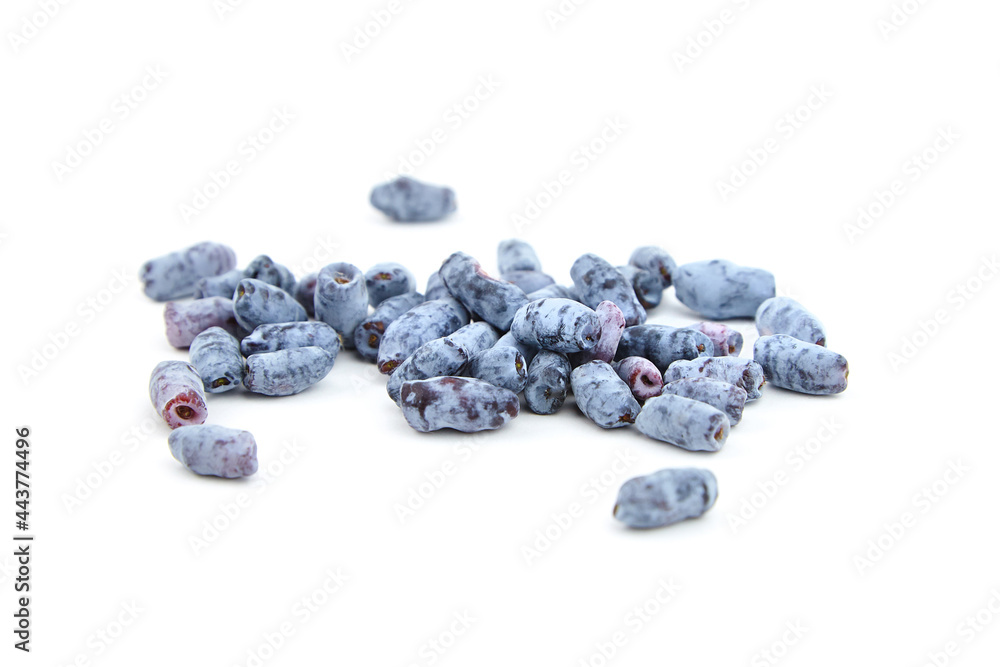Honeysuckle berries isolated on white background Honeysuckle berries isolated on white background