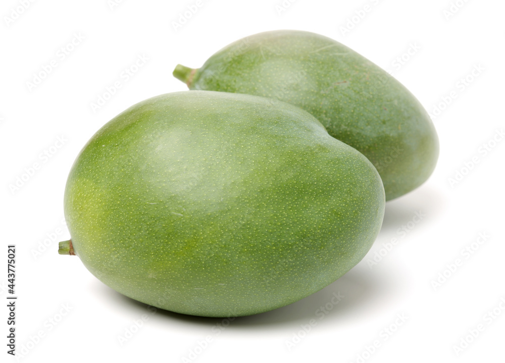 mangos on a white background mangos on a white background