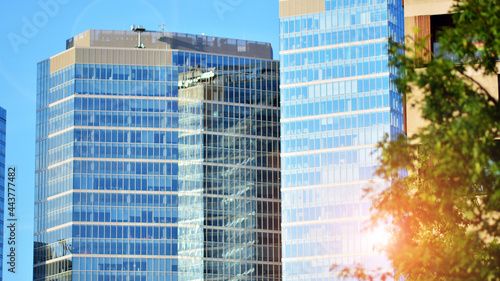 Eco architecture. Green tree and glass office building. The harmony of nature and modernity. Reflection of modern commercial building on glass with sunlight. 