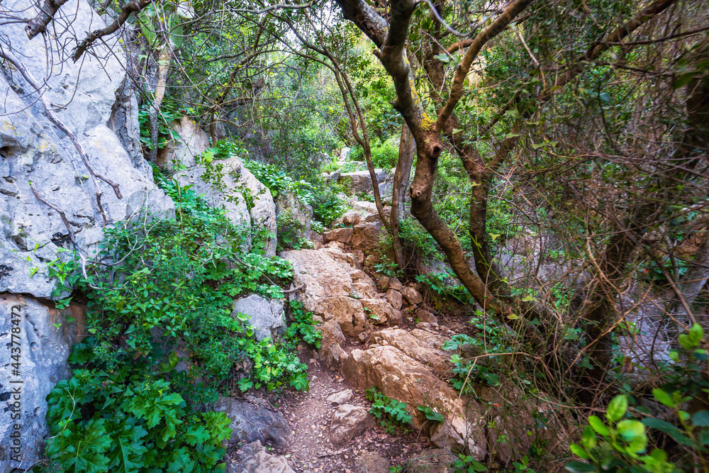 Mountain Monte Pellegrino in Spring on Sicily in Italy, Europe Mountain Monte Pellegrino in Spring on Sicily in Italy, Europe