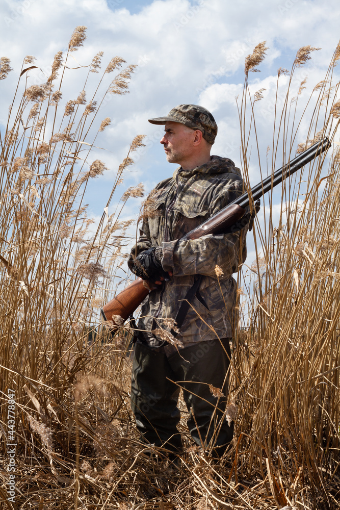 a hunter with a shotgun stands among the reeds