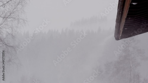 Snow falling, blowing off a roof during a winter blizzard, Sweden, medium shot photo