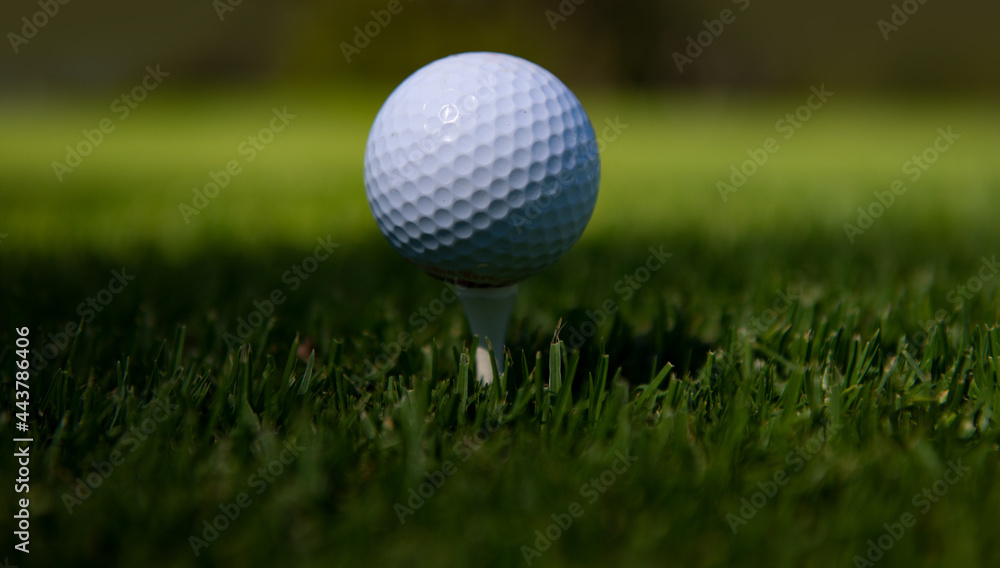 Close up golf ball on green grass field. Golf club. Close up golf ball on green grass field. Golf club.