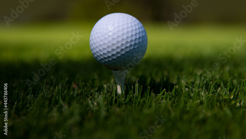 Close up golf ball on green grass field. Golf club.