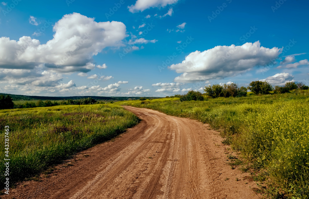 dirt road among green fields on a spring sunny day.
dirt road among green fields on a spring sunny day.
