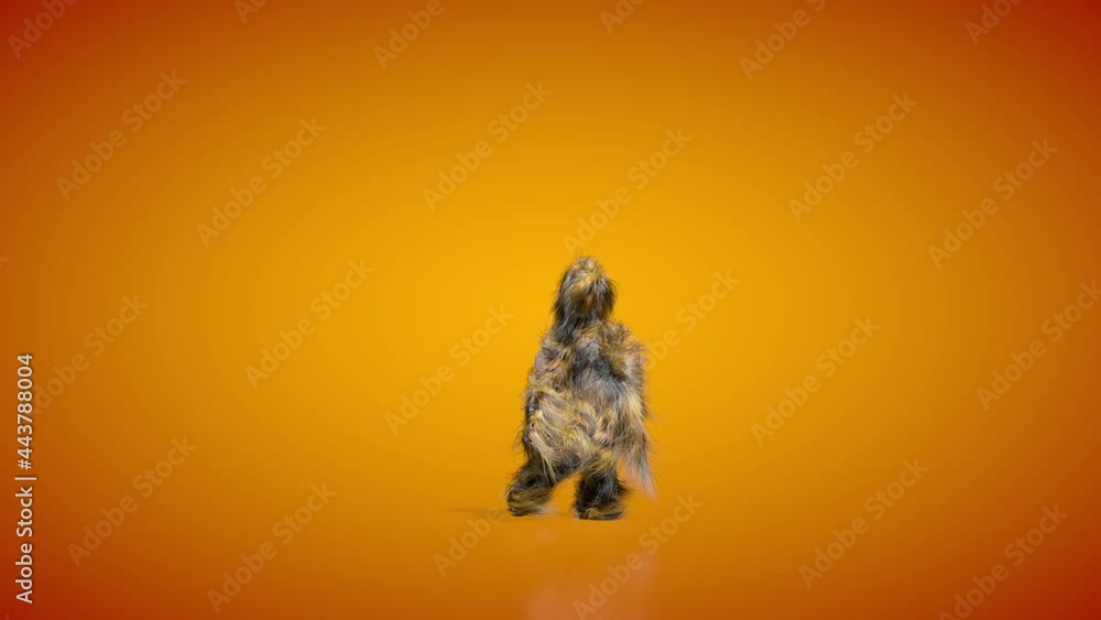 3D Hairy Mannequin Dancing, Loop 3D Hairy Mannequin Dancing, Loop