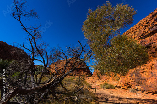 オーストラリア ノーザンテリトリーにあるワタルカ国立公園内のキングス・キャニオンの風景 