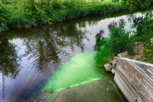 Fotografia Bright green polluted effluent flowing into a pristine waterway