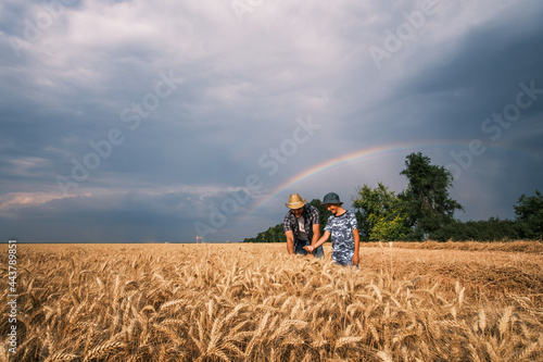 Father and son are standing in their wheat field after successful sowing and growth. They are getting ready for harvesting. Rainbow in the sky behind them. © djoronimo