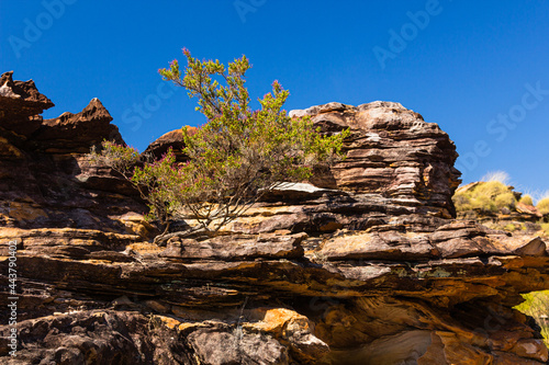 オーストラリア 西オーストラリア州のカナナラのミリマ国立公園の奇岩